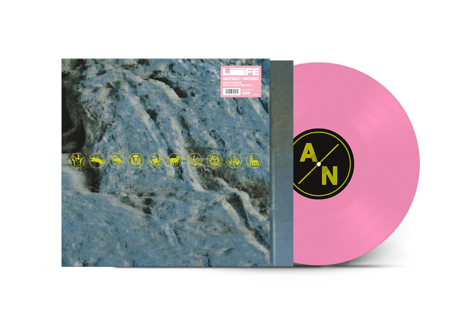 ABSTRACT / NATURAL Everything BUNDLE