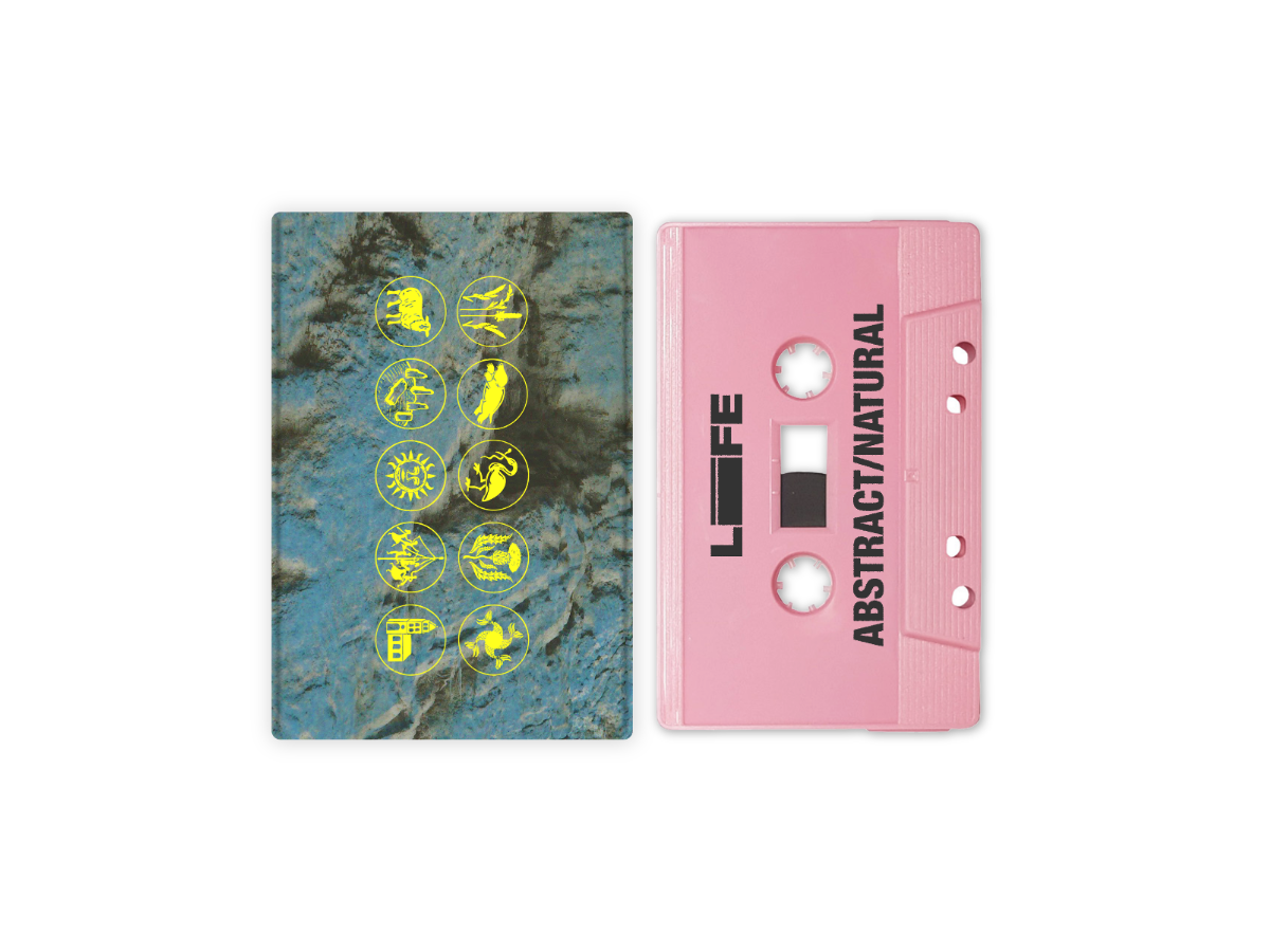 ABSTRACT / NATURAL Everything BUNDLE